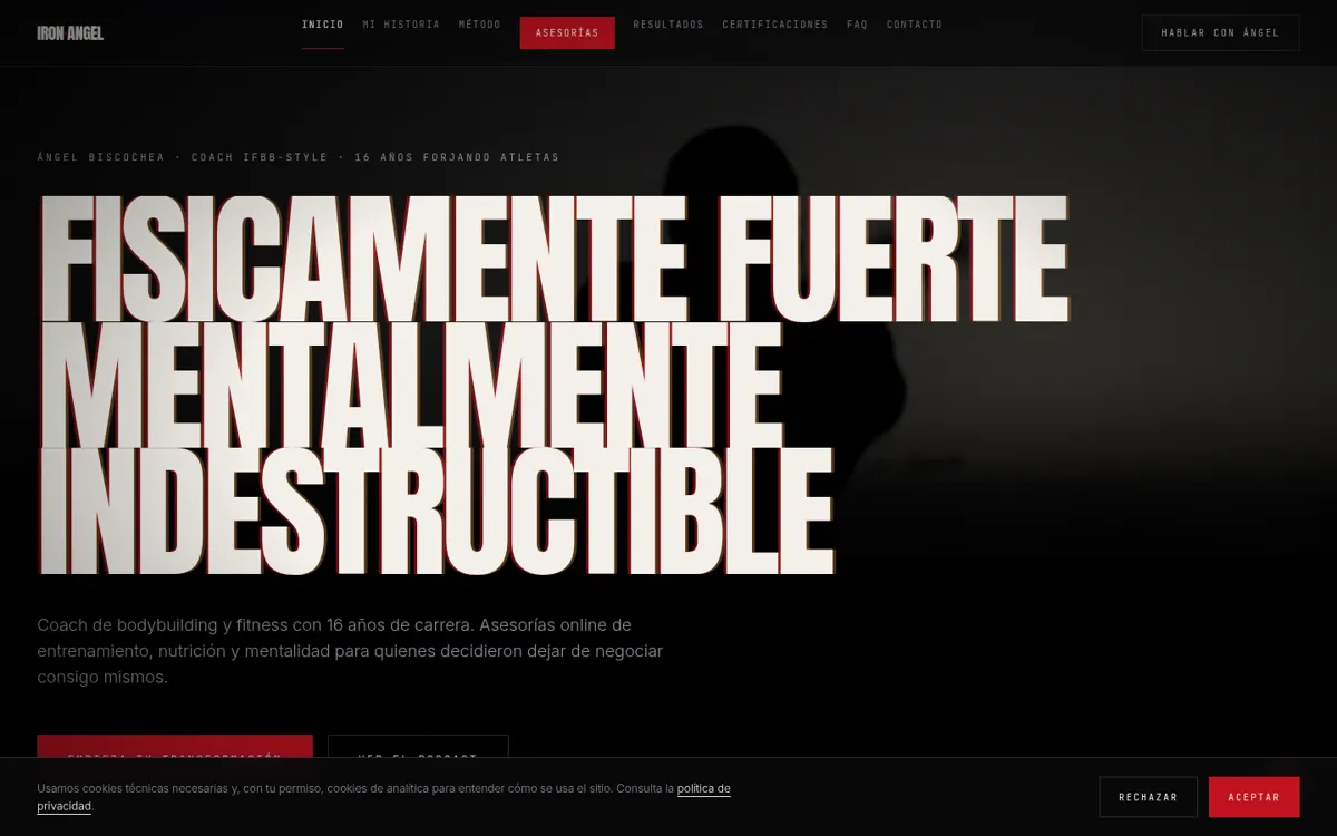 Website screenshot of Iron Angel — Ángel Biscochea